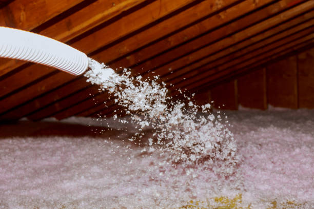 Best Eco-Friendly Insulation in Baldwin, LA