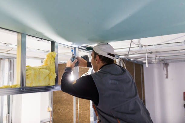 Best Spray Foam Insulation in Baldwin, LA