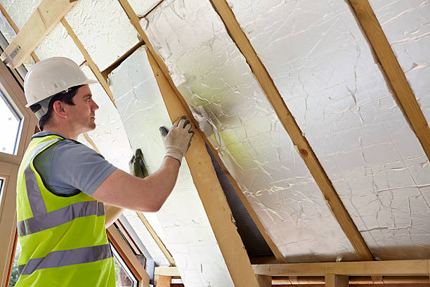 Best Commercial Insulation in Baldwin, LA