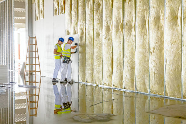 Best Blown-in Insulation in Baldwin, LA